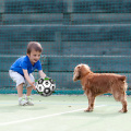 Squeaky Soccer Football Pet Plush dog Ball Toy